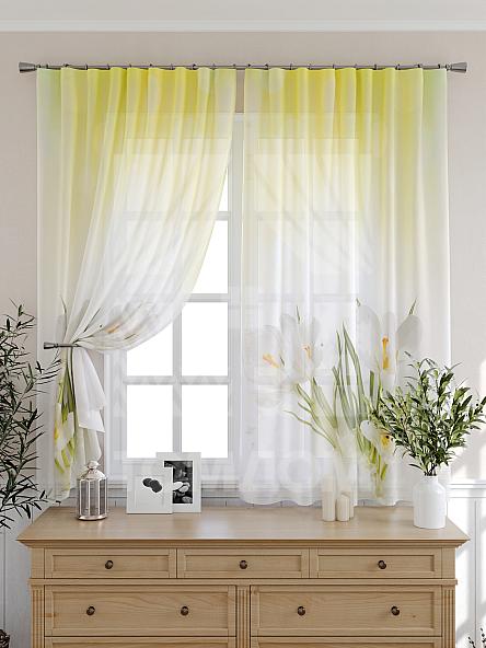 Тюль для кухни Аберн