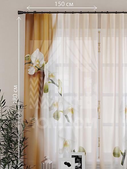 Тюль для кухни Миллис - фото 2