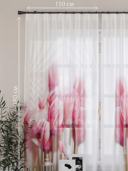 Тюль для кухни Асусена - фото 4