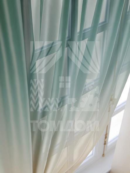 Тюль для кухни Гиватаим - фото 5