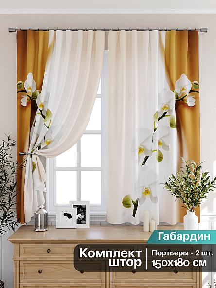 Комплект штор для кухни Элионтис