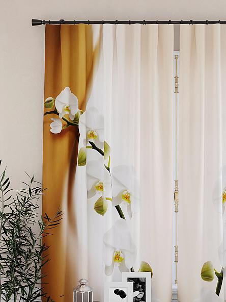 Комплект штор для кухни Элионтис - фото 3