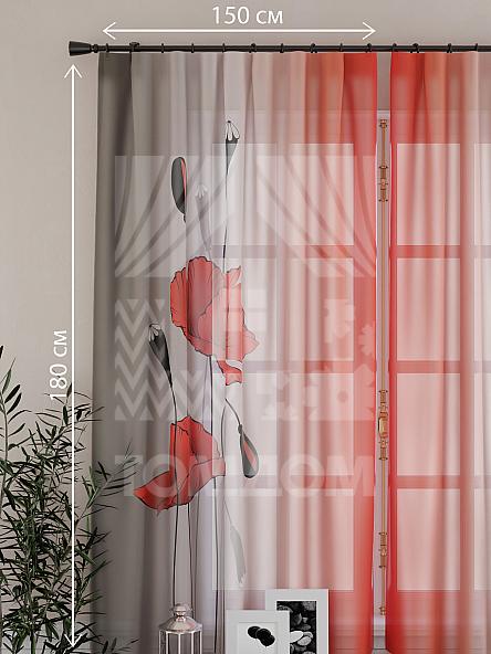 Тюль для кухни Лери - фото 4