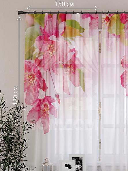 Тюль для кухни Зола - фото 4