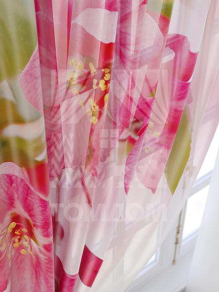 Тюль для кухни Зола - фото 6