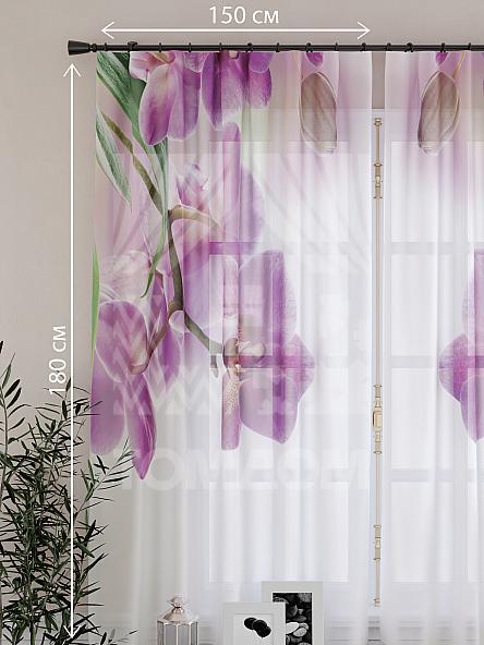 Тюль для кухни Фибла - фото 4