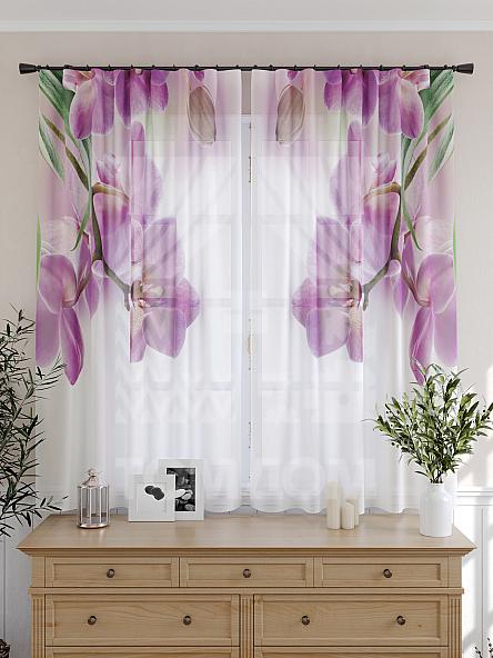 Тюль для кухни Фибла - фото 5