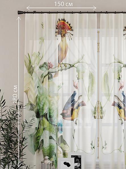 Тюль для кухни Рафог - фото 4