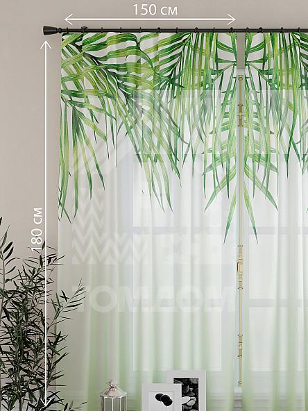 Тюль для кухни Кенвикас - фото 4