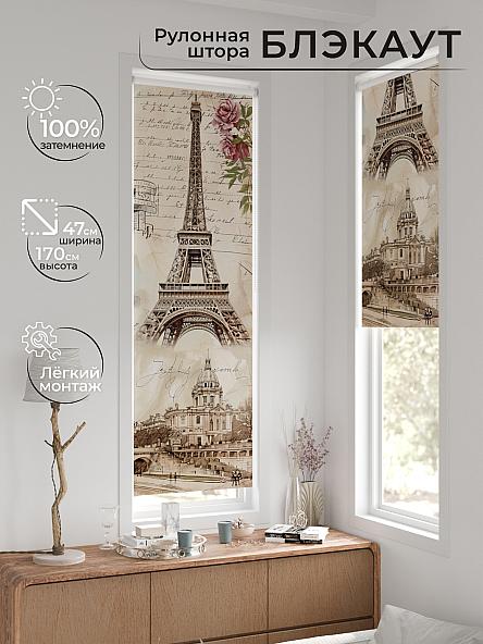 Рулонная штора для кухни для детской Ронтокс - 14 - ширина 47 см