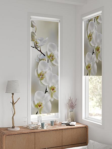 Рулонная штора для кухни для детской Ронтокс - 19 - ширина 47 см - фото 2