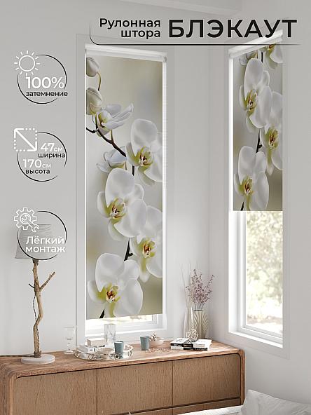 Рулонная штора для кухни для детской Ронтокс - 19 - ширина 47 см