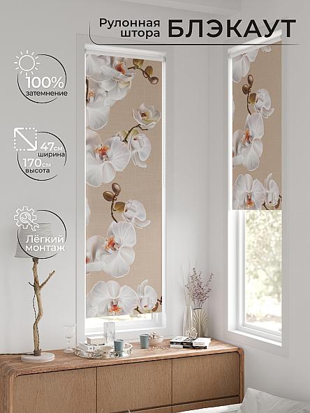 Рулонная штора для кухни для детской Ронтокс - 127 - ширина 47 см