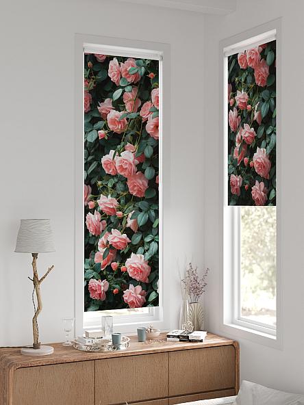 Рулонная штора для кухни для детской Ронтокс - 164 - ширина 47 см - фото 2