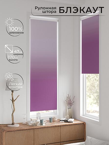 Рулонная штора для кухни для детской Ронтокс - 170 - ширина 47 см