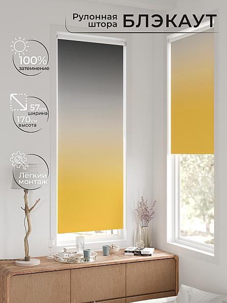 Рулонная штора для кухни для детской Нертис - 172 - ширина 57 см