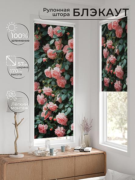 Рулонная штора для кухни для детской Нертис - 164 - ширина 57 см