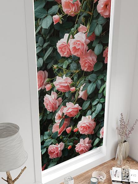 Рулонная штора для кухни для детской Нертис - 164 - ширина 57 см - фото 4