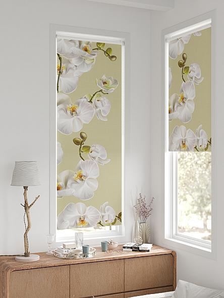 Рулонная штора для кухни для детской Нертис - 128 - ширина 57 см - фото 2