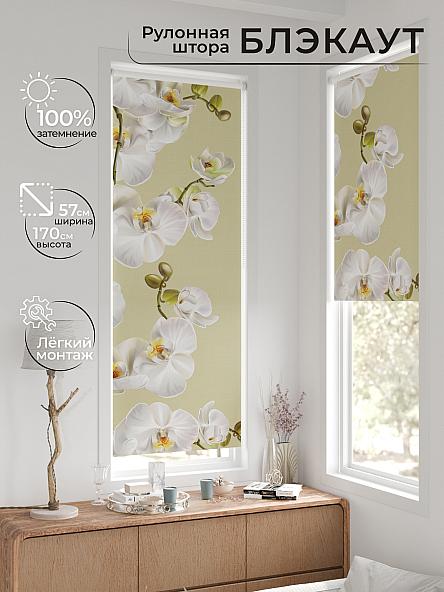 Рулонная штора для кухни для детской Нертис - 128 - ширина 57 см