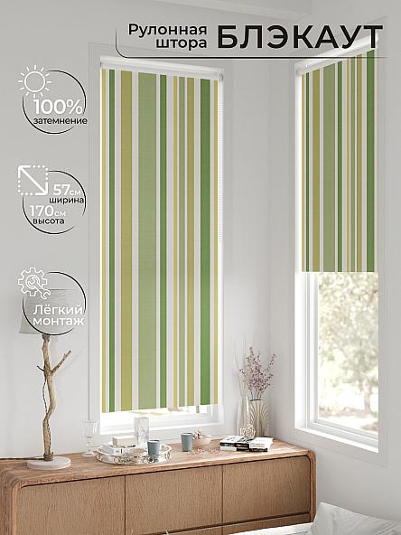 Рулонная штора для кухни для детской Нертис - 123 - ширина 57 см