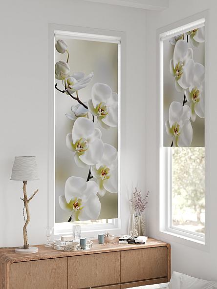 Рулонная штора для кухни для детской Нертис - 19 - ширина 57 см - фото 2