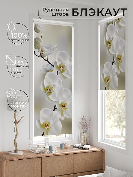 Рулонная штора для кухни для детской Нертис - 19 - ширина 57 см