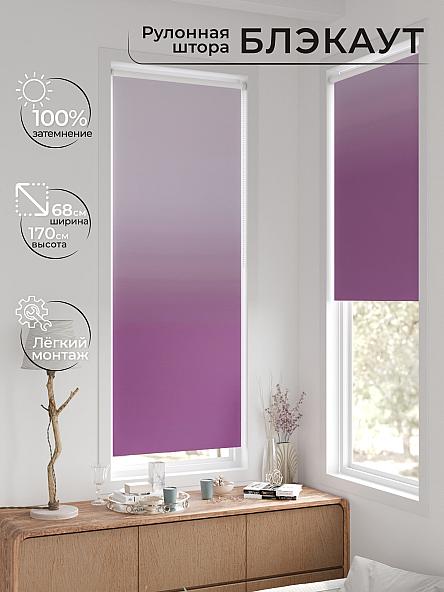 Рулонная штора для кухни для детской Легроса - 170 - ширина 68 см