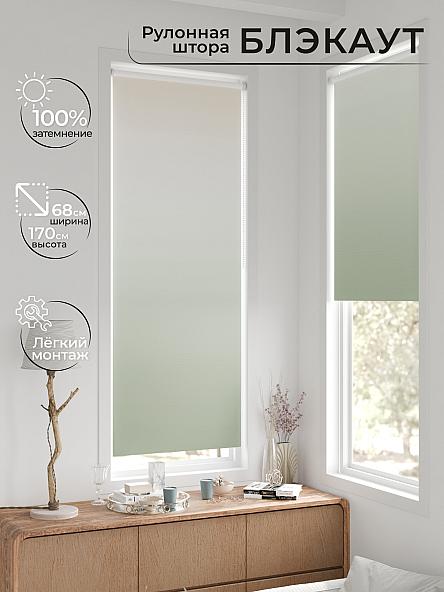 Рулонная штора для кухни для детской Легроса - 166 - ширина 68 см