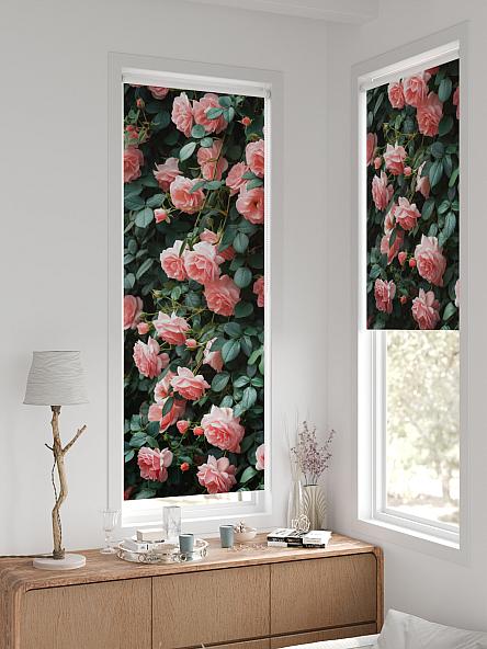 Рулонная штора для кухни для детской Легроса - 164 - ширина 68 см - фото 2