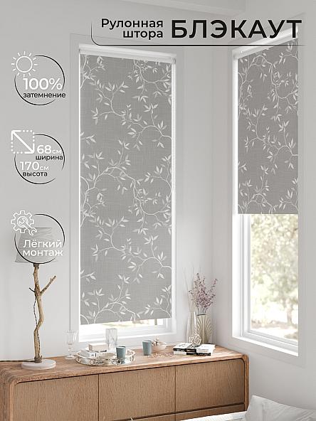 Рулонная штора для кухни для детской Легроса - 103 - ширина 68 см