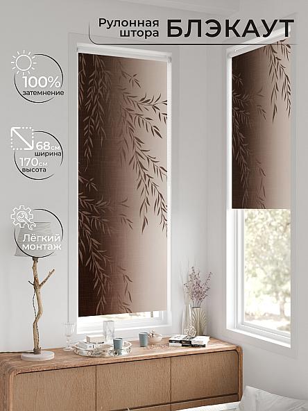 Рулонная штора для кухни для детской Легроса - 69 - ширина 68 см