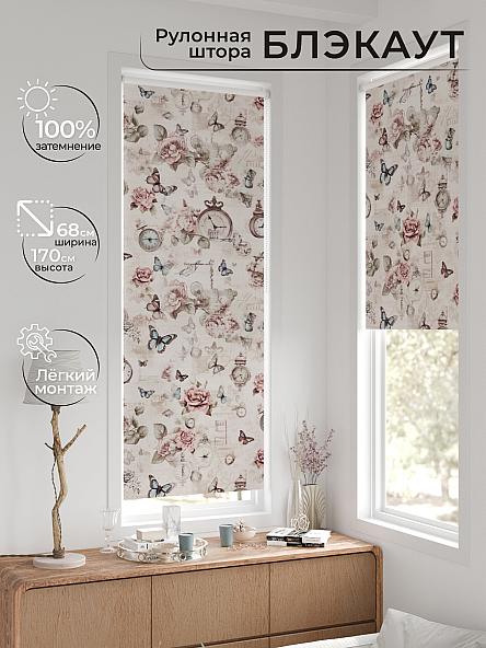 Рулонная штора для кухни для детской Легроса - 68 - ширина 68 см