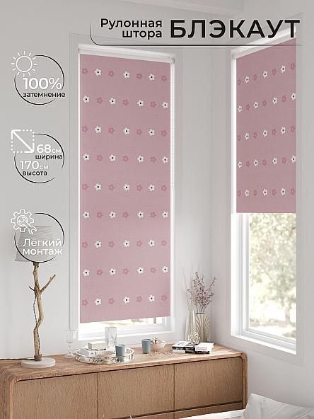 Рулонная штора для кухни для детской Легроса - 66 - ширина 68 см