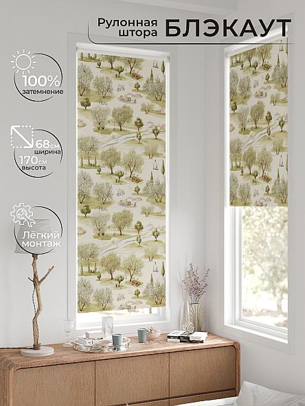 Рулонная штора для кухни для детской Легроса - 56 - ширина 68 см