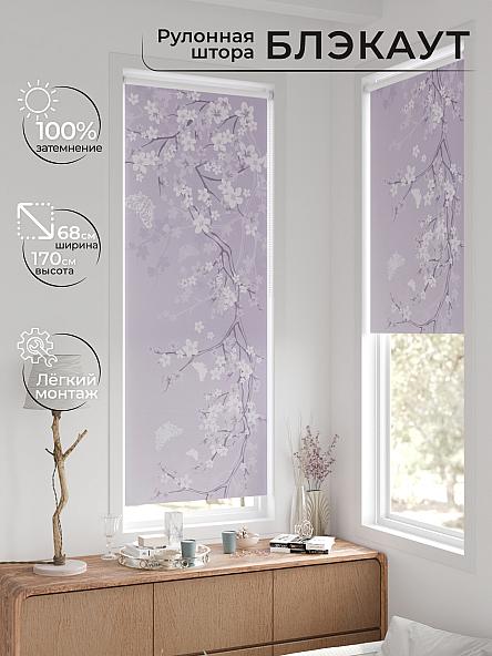 Рулонная штора для кухни для детской Легроса - 53 - ширина 68 см