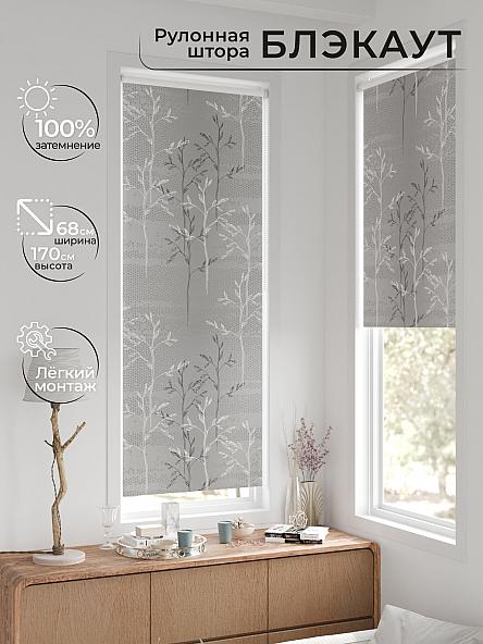 Рулонная штора для кухни для детской Легроса - 48 - ширина 68 см