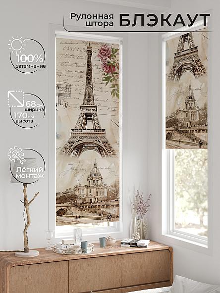 Рулонная штора для кухни для детской Легроса - 14 - ширина 68 см