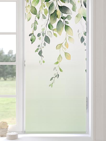 Рулонная штора для кухни для детской Клартис - 546 - ширина 62 см - фото 3