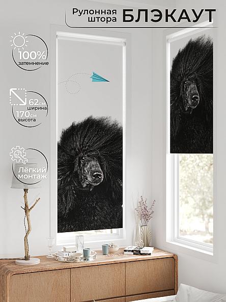 Рулонная штора для кухни для детской Федера - 580 - ширина 62 см