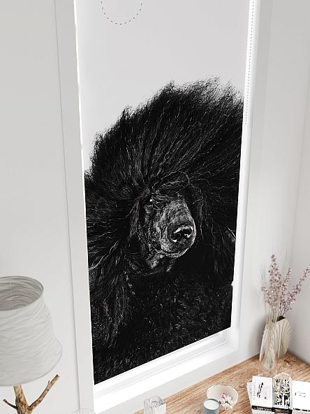 Рулонная штора для кухни для детской Федера - 580 - ширина 62 см - фото 4