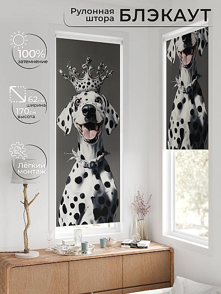 Рулонная штора для кухни для детской Федера - 592 - ширина 62 см