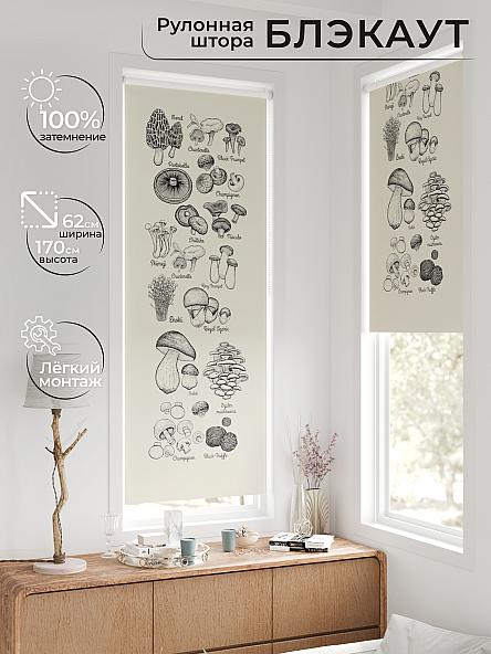 Рулонная штора для кухни для детской Федера - 602 - ширина 62 см