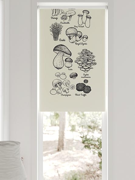 Рулонная штора для кухни для детской Федера - 602 - ширина 62 см - фото 6