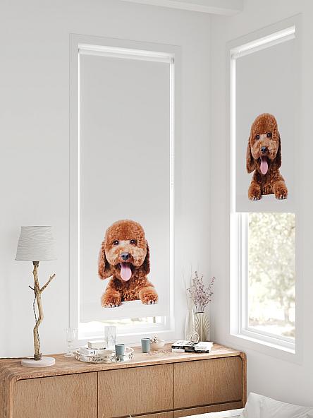 Рулонная штора для кухни для детской Федера - 631 - ширина 62 см - фото 2