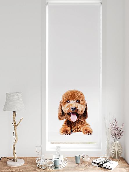 Рулонная штора для кухни для детской Федера - 631 - ширина 62 см - фото 3