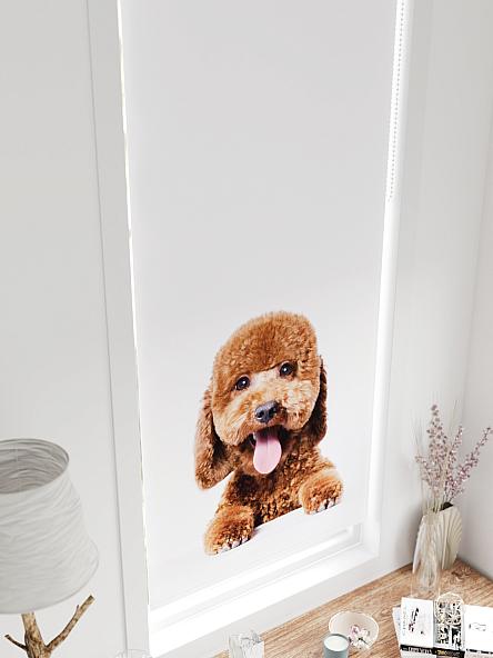 Рулонная штора для кухни для детской Федера - 631 - ширина 62 см - фото 4