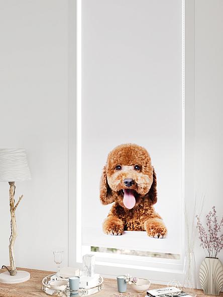 Рулонная штора для кухни для детской Федера - 631 - ширина 62 см - фото 5