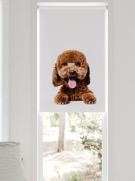 Рулонная штора для кухни для детской Федера - 631 - ширина 62 см - фото 6