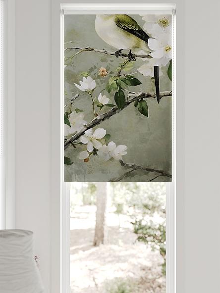 Рулонная штора для кухни для детской Федера - 648 - ширина 62 см - фото 6